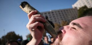 Miles de chilenos marchan para pedir cambios en el acceso al cannabis medicinal