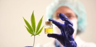 Hubo 55,000 participantes de GDS que consumieron cannabis en el último año