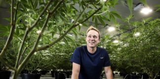 Bruce Linton fundador de Canopy Growth, empresa de cannabis líder en el mundo, que ofrece diferentes marcas y variedades curadas de cannabis en forma de capsulas secas, de gel y aceite. Foto: Chris Roussakis/Bloomberg