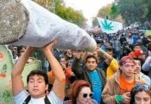 Costa Rica lidera movimiento centroamericano a favor del uso medicinal e industrial de la marihuana