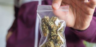 ¿Qué ha pasado con los referéndum sobre la eutanasia y el cannabis en Italia?