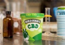 Estados Unidos: una reconocida empresa se compromete a lanzar al mercado el helado de marihuana Estados Unidos: una reconocida empresa se compromete a lanzar al mercado el helado de marihuana