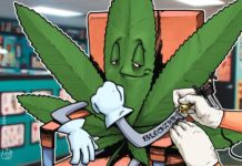 Farmacia canadiense rastreará el cannabis a través de blockchain en un nuevo programa piloto Farmacia canadiense rastreará el cannabis a través de blockchain en un nuevo programa piloto