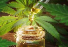 La venta en estancos de componentes del cannabis genera intervenciones policiales y dudas judiciales La venta en estancos de componentes del cannabis genera intervenciones policiales y dudas judiciales