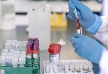C&aacute;ncer: el cannabis medicinal tendr&iacute;a propiedades antitumorales
