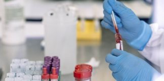 Cáncer: el cannabis medicinal tendría propiedades antitumorales