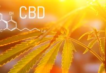 El CBD en las flores de cannabis puede reducir los efectos secundarios del THC El CBD en las flores de cannabis puede reducir los efectos secundarios del THC