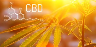 El CBD en las flores de cannabis puede reducir los efectos secundarios del THC