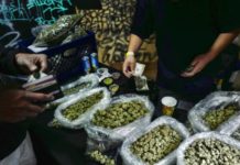 Israel, en la vanguardia del cannabis medicinal, sufre escasez de marihuana
