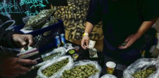 Israel, en la vanguardia del cannabis medicinal, sufre escasez de marihuana