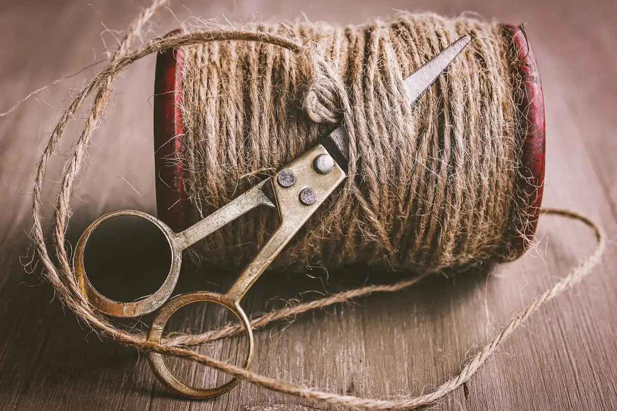 C&aacute;&ntilde;amo: reaparece la fibra est&aacute;ndar del mundo