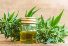 Las farmacias bonaerenses podrán vender aceite de cannabis para pacientes con epilepsia Las farmacias bonaerenses podrán vender aceite de cannabis para pacientes con epilepsia