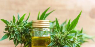 Las farmacias bonaerenses podrán vender aceite de cannabis para pacientes con epilepsia