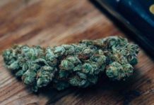 Ocho lecturas sobre el cannabis Herb. Mastering the art of cooking with cannabis