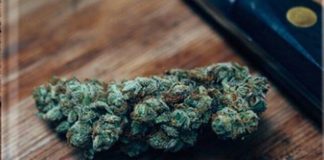 Herb. Mastering the art of cooking with cannabis