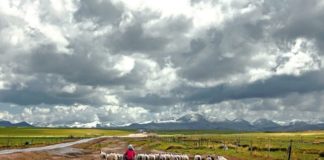 Paisaje junto al lago Qinghai, en China.