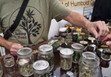 Nueva York prohíbe las comidas y bebidas con cannabidiol Venta de productos a base de Cannabis