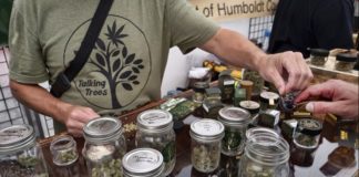 Venta de productos a base de Cannabis