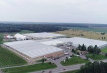 La historia del pequeño pueblo de Canadá que se ha convertido en líder mundial del cultivo de marihuana La fábrica de Canopy Growth, empresa líder en el mundo de cultivo de marihuna.
