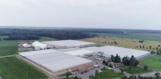 La fábrica de Canopy Growth, empresa líder en el mundo de cultivo de marihuna.
