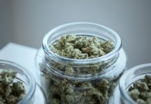 CBG Mania – Cuáles son las mejores maneras de usar y consumir CBG CBG Mania – Cuáles son las mejores maneras de usar y consumir CBG
