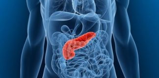 Los consumidores de cannabis tienen una menor mortalidad tras una pancreatitis