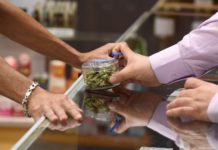 Texas prohíbe el cannabis para fumar: cuando restringir no protege, sino que empuja al mercado ilegal El dispensario Green Pearl Organics paga el 15% de impuestos a California, además de sus gastos operativos, y cumple con numerosas normativas. El mercado negro, no. (AFP/Robyn Beck)