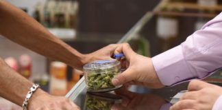 El dispensario Green Pearl Organics&nbsp;paga el 15% de impuestos a California, adem&aacute;s de sus gastos operativos, y cumple con numerosas normativas. El mercado negro, no. (AFP/Robyn Beck)