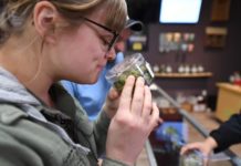Ventas de cannabis crecen en Canadá, pero las empresas están en crisis Una clienta del dispensario Green Pearl Organics, de Desert Hot Springs, California. (AFP)