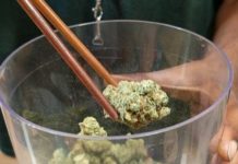 Luxemburgo quiere ser el primer país de la Unión Europea en legalizar el cannabis Luxemburgo quiere ser el primer país de la Unión Europea en legalizar el cannabis