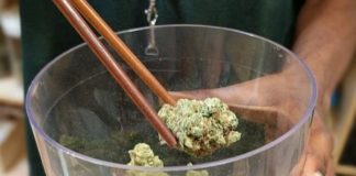 Luxemburgo quiere ser el primer país de la Unión Europea en legalizar el cannabis