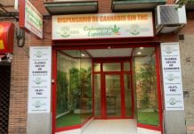 La marihuana que no coloca encuentra un negocio boyante en España La marihuana que no coloca encuentra un negocio boyante en España