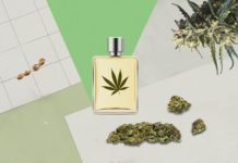 Aroma de cannabis, la nueva esencia usada por las fragancias de lujo Aroma de cannabis, la nueva esencia usada por las fragancias de lujo