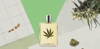 Aroma de cannabis, la nueva esencia usada por las fragancias de lujo