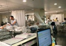 El consumo de cannabis se asocia con una reducción de una de las infecciones intrahospitalarias bacterianas más destacada El consumo de cannabis se asocia con una reducción de una de las infecciones intrahospitalarias bacterianas más destacada