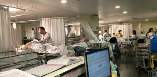 El consumo de cannabis se asocia con una reducción de una de las infecciones intrahospitalarias bacterianas más destacada