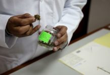 Celebrado el primer congreso de cannabis medicinal de la UAM y la OECCC Más preguntas que respuestas en la regulación del cannabis médico en Ecuador
