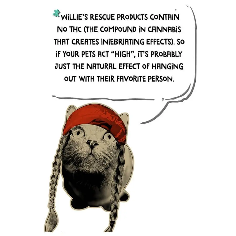 CBD for animals
