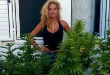 De consumir cannabis recreativo, a usarlo como medicamento, y acabar creando un vino tinto con marihuana Sofía Plantas Dinafem Exterior