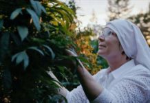 Sor cannabis, la falsa monja al frente de un imperio de la droga Sor cannabis, la falsa monja al frente de un imperio de la droga
