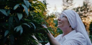 Sor cannabis, la falsa monja al frente de un imperio de la droga