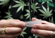 Cuatro estados definen legalización de la marihuana el mismo día de las elecciones en EEUU. Illinois (EE.UU.) legalizará hoy la marihuana para usos médicos