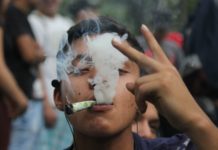 Iglesia y empresarios obstruyen discusión sobre la legalización del cannabis en México Iglesia y empresarios obstruyen discusión sobre la legalización del cannabis en México