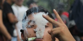 Iglesia y empresarios obstruyen discusión sobre la legalización del cannabis en México