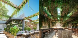 Inauguran primera cafetería de marihuana en EEUU Inauguran primera cafetería de marihuana en EEUU