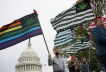 Industria del cannabis obtiene victoria parlamentaria en EEUU Industria del cannabis obtiene victoria parlamentaria en EEUU