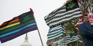 Industria del cannabis obtiene victoria parlamentaria en EEUU