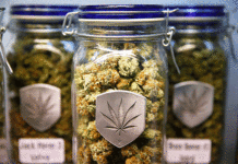 Decomiso multimillonario en tiendas de cannabis ilegales en Nueva York Decomiso multimillonario en tiendas de cannabis ilegales en Nueva York