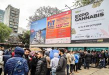 La industria del cannabis medicinal mira hacia Argentina La industria del cannabis medicinal mira hacia Argentina