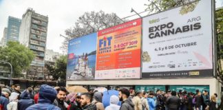 La industria del cannabis medicinal mira hacia Argentina